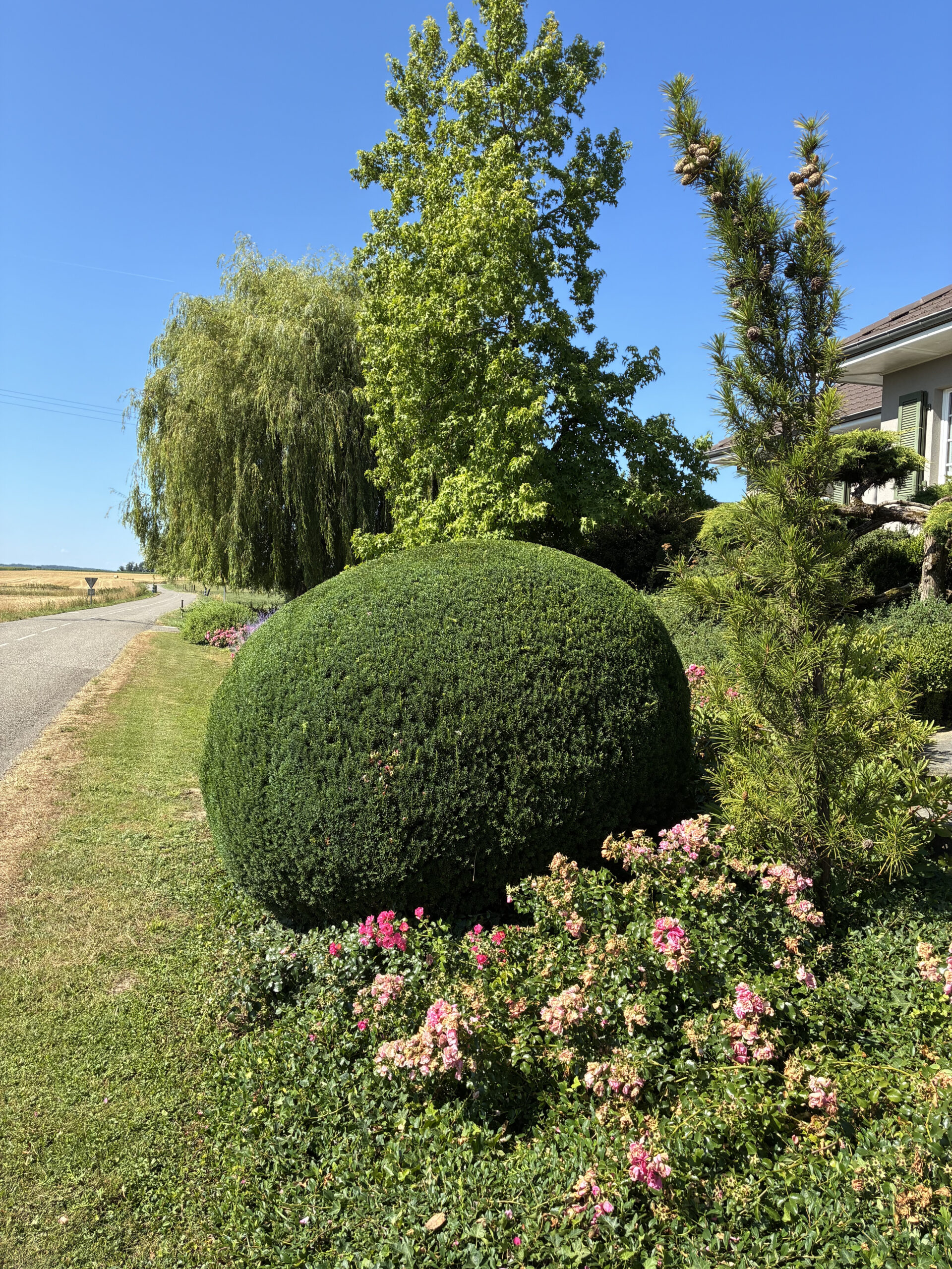 Après 3